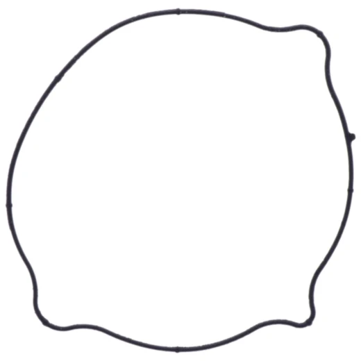 Kupplungsdeckeldichtung für Motorräder 7510514