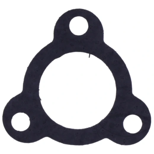 Krümmerdichtung für Leo Vince_0