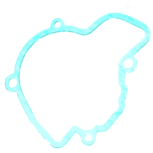 Zündungsdeckeldichtung für Motorräder 7517907