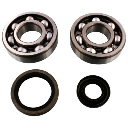 Kurbelwellenlager Satz mit Wedis für Tourmax