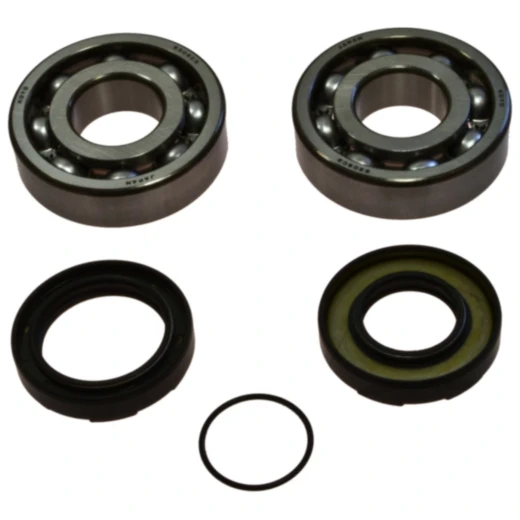 Kurbelwellenlager Satz für Motorräder mit Wellendichtring