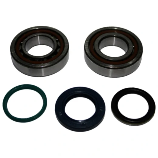Kurbelwellenlager Satz inklusive Wellendichtring für Motorräder