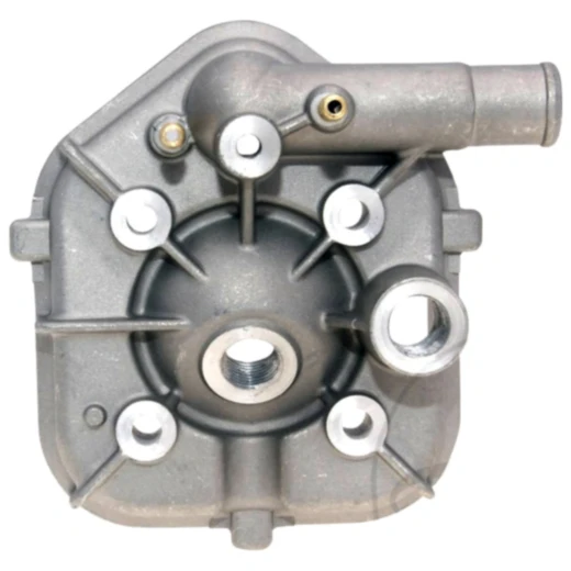 Zylinderkopf Naraku passend für: Peugeot Speedfight