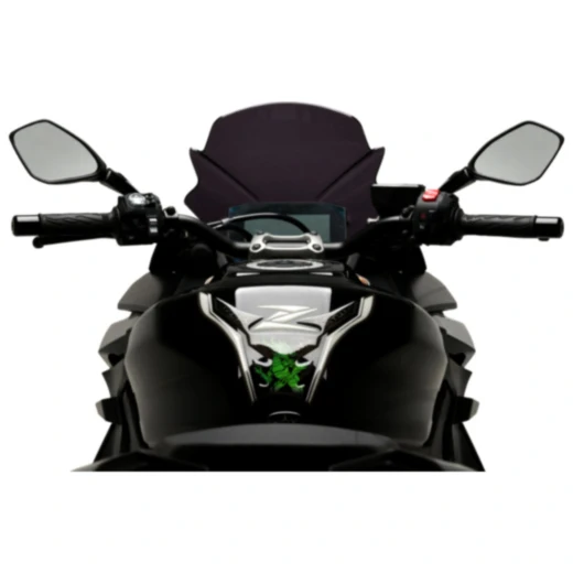 Puig Sportscheibe dunkel_2