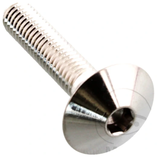 Linsenschraube M6X1.00 mm 30 mm Edelstahl V4A für Motorräder