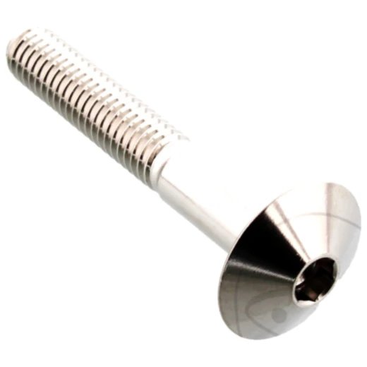 Linsenschraube M6X1 mm 40 mm Edelstahl V4A