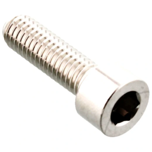 Zylinderschraube M6X1 mm 20 mm Edelstahl V4A passend für: Derbi GPR