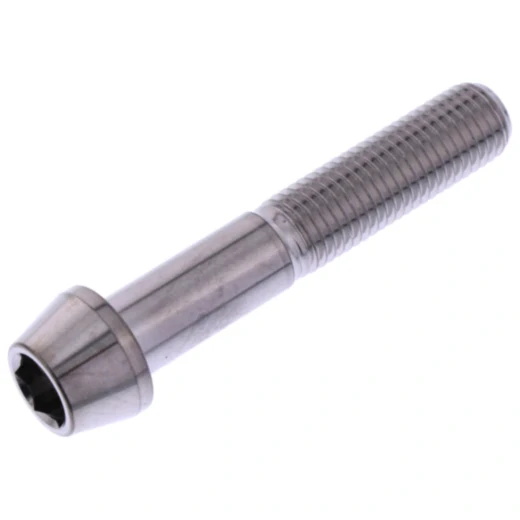 Innensechskantschraube M10 x 1.25 mm 55 mm Edelstahl V4A