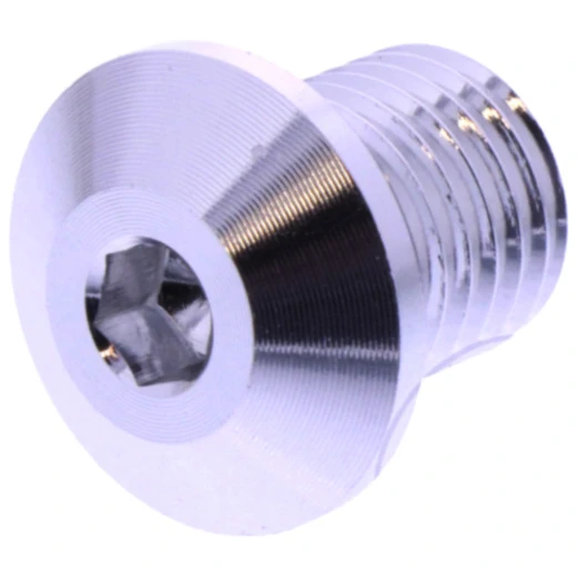 Abdeckschraube M10 x 1.25 mm 11 mm silbern für Motorräder