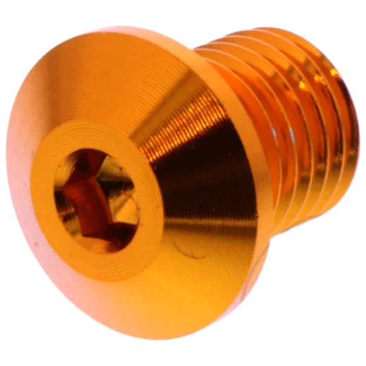 Abdeckschraube für Spiegel M10 x 1,25 mm 11 mm gold links