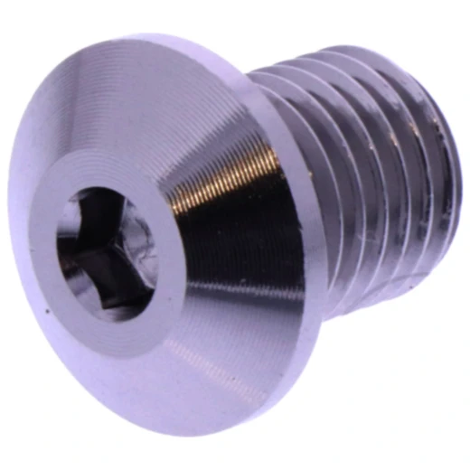 Abdeckschraube für Motorräder M10 x 1.25 mm 11 mm Titan links