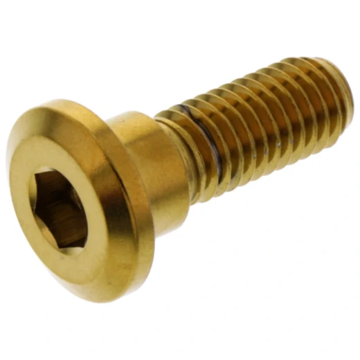 Schraube Bremsscheibe M8X1. 25 mm 24 mm Edelstahl V4A gold passend für: Honda CB, VT, TRX
