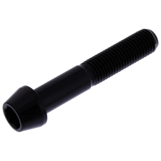 Kegelkopf-Schraube M10 x 1,25 mm 55 mm Edelstahl V4A schwarz