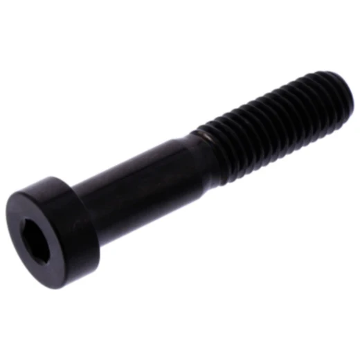 Zylinderschraube M8X1. 25 mm 40 mm Edelstahl V4A schwarz passend für: Ducati Monster, 916, 748