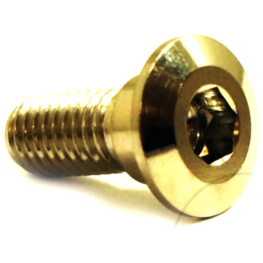 Bremsscheibenschraube JMP M8X1.25 mm 20 mm Edelstahl V4A für Motorrad