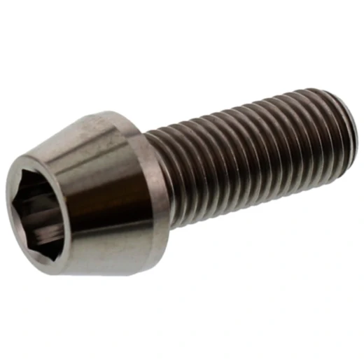 Zylinder Schraube M10 x 1.25 mm 25 mm Titan