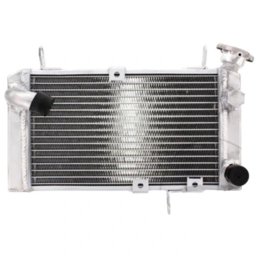 Wasserkühler für Muskelmotorräder