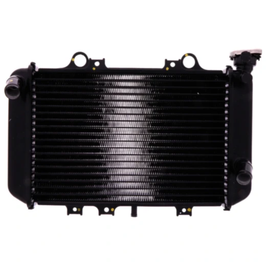 Wasserkühler läuft aus 0825 passend für: BMW G, C