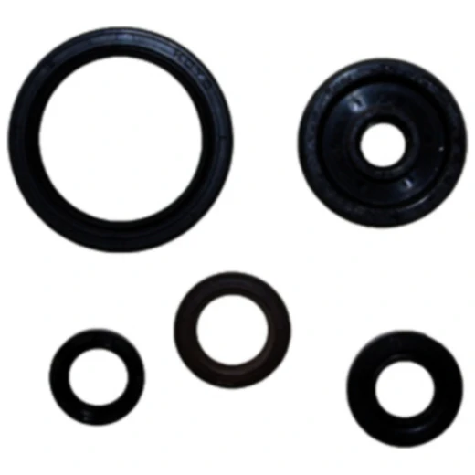 Wellendichtring Satz für Motoren 7790447