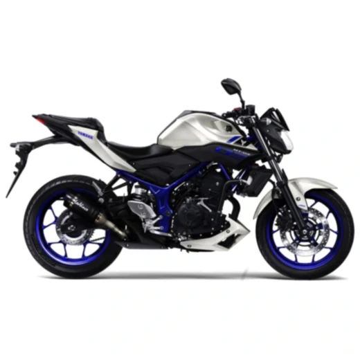 Schalldämpfer LV-PRO Carbon Slip On für Sportmotorräder_0