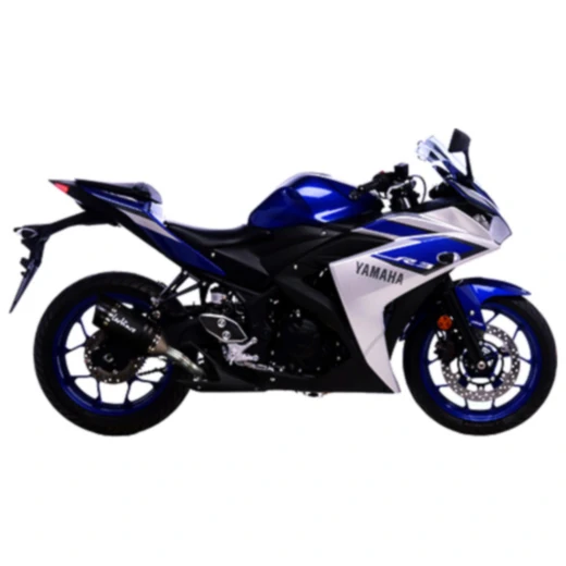 Schalldämpfer LV-PRO Carbon Slip On für Sportmotorräder_1