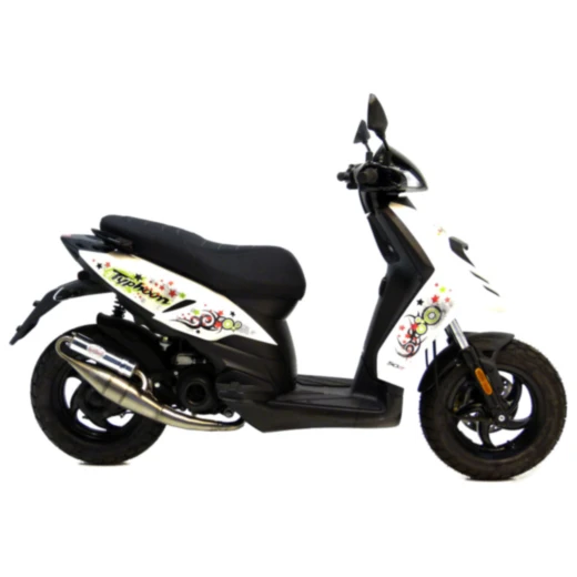 Schalldämpfer Handmade TT Leovince passend für: Piaggio Zip, TPH, Fly, Aprilia SR