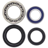 Radlager Satz komplett All Balls Racing mit Wellendichtring passend für: Yamaha YFM 7520743