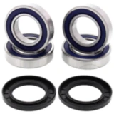 Radlager Satz komplett All Balls Racing mit Wellendichtring passend für: Arctic Cat/Textron Cat