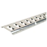 Zurrschiene Kombi 1524X130X12MM für Zurrsysteme