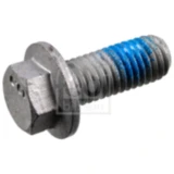 Schraube, Bremssattel M10 x 1.5 x 25 mm für: Ford, Volvo