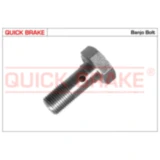 Hohlschraube für Bremsschlauch M10 x 1 A/F 16mm L32.2