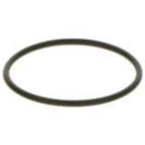 Dichtring Einspritzsystem