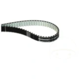 Zahnriemen für Motorräder CT1239