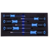 Werkzeugsatz in Einlage Schraubendreher 6-teilig für HAZET