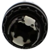 WAHLTASTE Nussbaum für LICHT CLT 990446