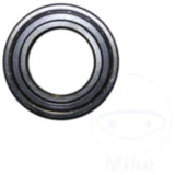 Radiallager 6007Z Ravaglioli für Motorräder