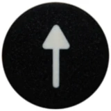 Tastenschild für Pfeil Nussbaum 32 T 990131