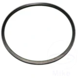 Abstreifer für Nussbaum Stempelabdichtung 160 mm