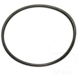 O-Ring für Nussbaum Stempelabdichtung 172 mm