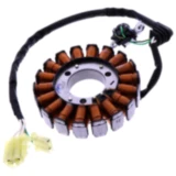 Lichtmaschinen-Stator RMS