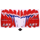 Aufkleber Kühlerlamellen BlackBird Racing Replica HRC 2019 passend für: Honda