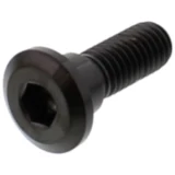 Schraube Bremsscheibe M8X1. 25 mm 24 mm Titan schwarz passend für: Honda CB, VT, TRX