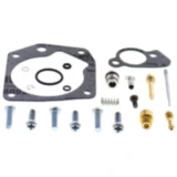 Vergaser Reparatursatz All Balls Racing Vollsatz passend für: Polaris Predator