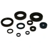 Wellendichtring Satz Athena passend für: Fantic XX, XE