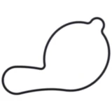 Dichtung Wasserpumpe Deckel Athena passend für: Gas Gas EC