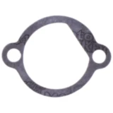 Dichtung für Steuerkettenspanner Athena 7344841