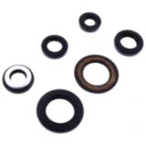 Wellendichtring Kit von Athena