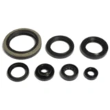 Wellendichtring Satz für Motoren 7346606