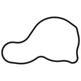 Dichtung Wasserpumpe Deckel Originalersatzteil passend für: Honda TRX, SXS