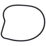 Wasserpumpendeckeldichtung für Motorräder 7347392